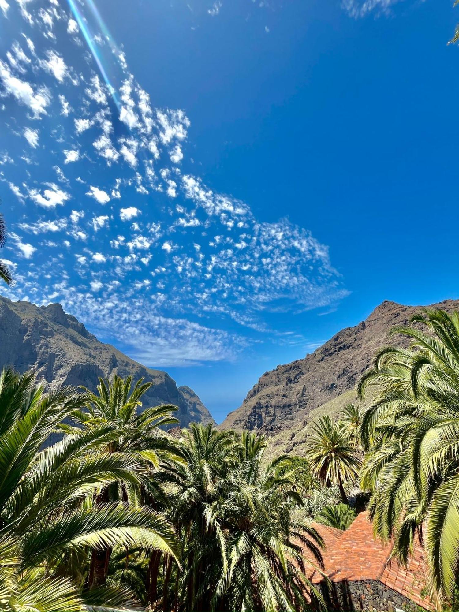 Tenerife PLAYA LA ARENA Puerto de Santiago  Exterior foto